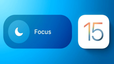 Share Focus Status