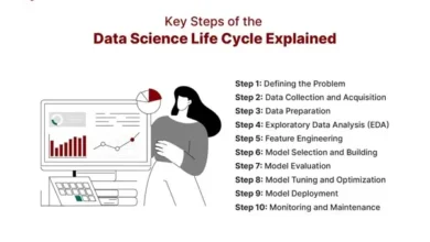 Data Science Life Cycle