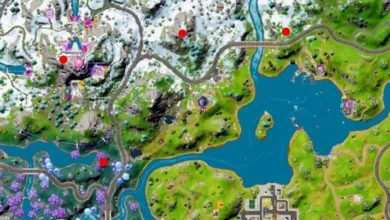 Fortnite Interactive Map