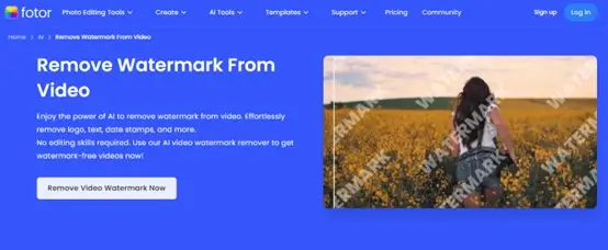 Fotor Watermark Remover