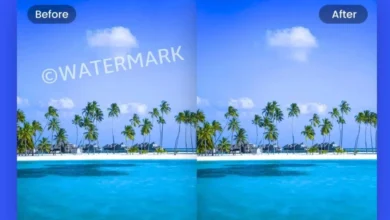 Reel Watermark Remover