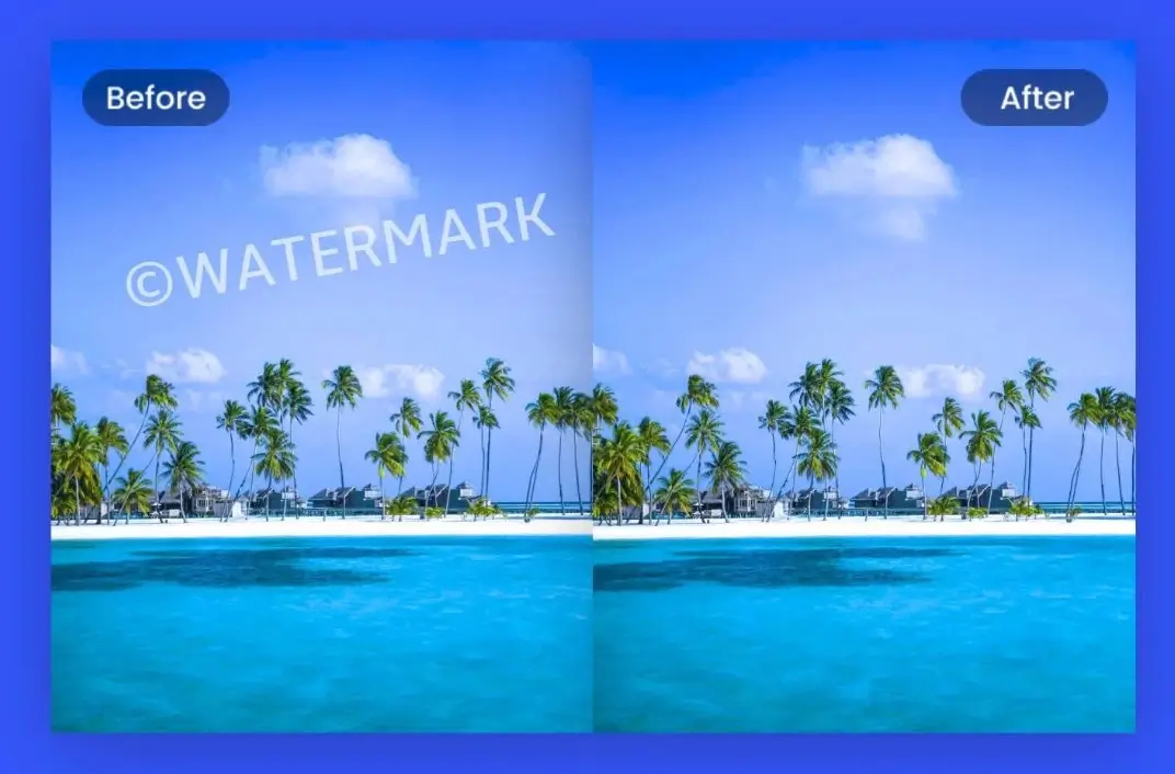 Reel Watermark Remover