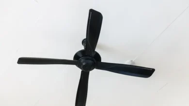 Smart Ceiling Fans