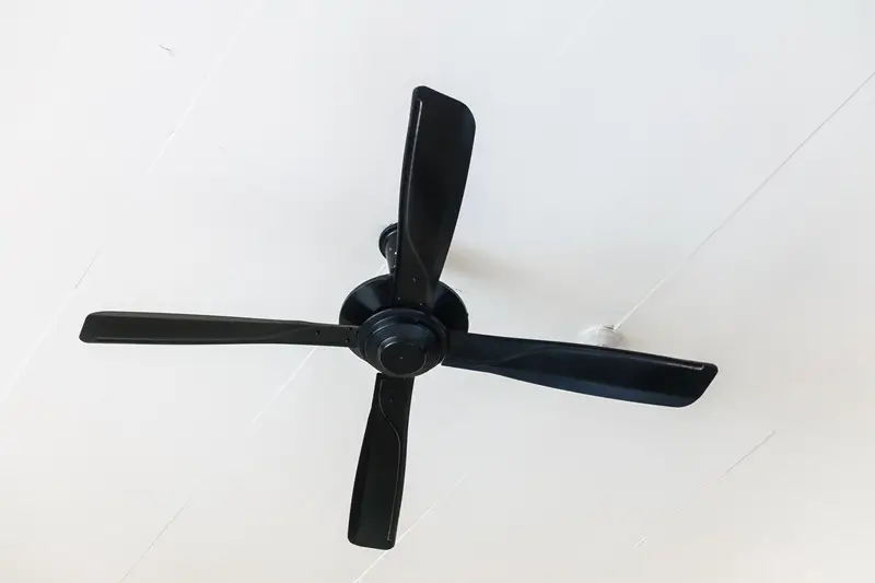 Smart Ceiling Fans